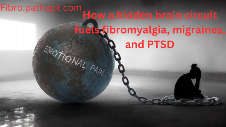How a hidden brain circuit fuels fibromyalgia, migraines, and PTSD