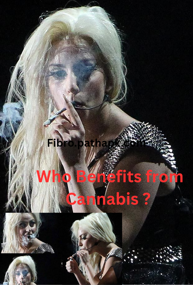 Who Benefits from Cannabis ?