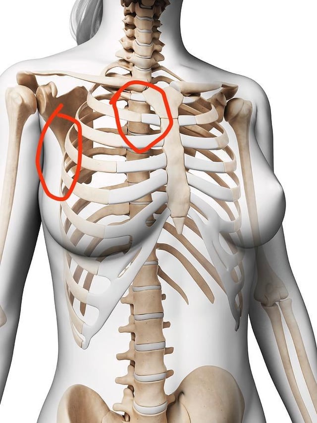 What’s the difference between the pain for costachontritis and heart issues please?