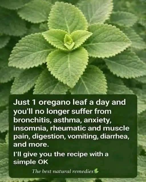 A Simple Herbal Drink Made with Fresh or Dried Oregano